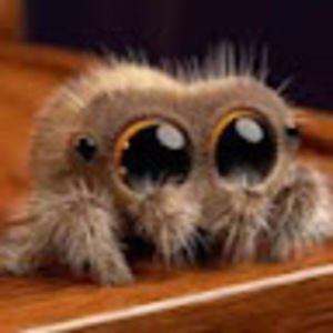 Meet your Posher, Casey